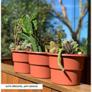 Kit 6 Vaso Plantas Autoirrigável Vaso Antidengue Auto Irrigável Flores Hortas Vaso Escolha as Cores