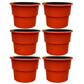 Kit 6 Vasos Autoirrigáveis Decorativos Premium — Jardim Inteligente